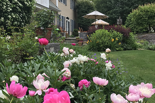 Westchester County, NY Open Day - CANCELED